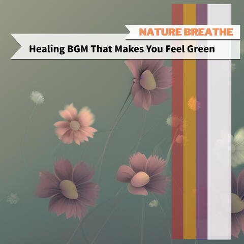 Healing BGM That Makes You Feel Green