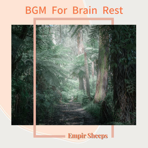 BGM For Brain Rest