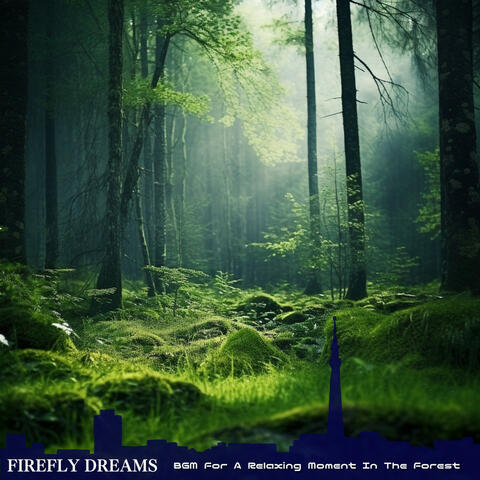 BGM For A Relaxing Moment In The Forest