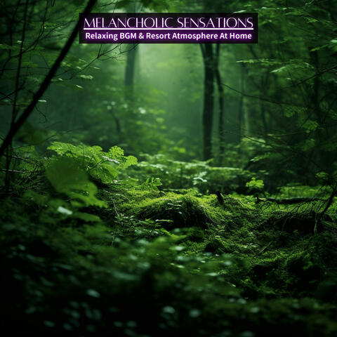 Relaxing BGM & Resort Atmosphere At Home