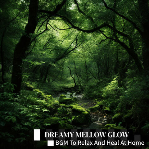 BGM To Relax And Heal At Home