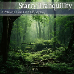 Relaxing Citrus Groove