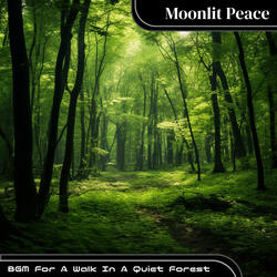 Quiet Interlude Indulgence