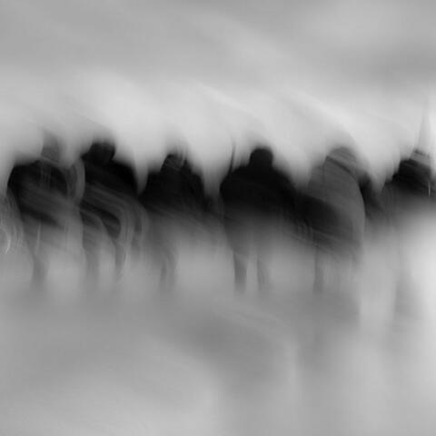 Shadows