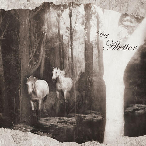 Abettor (Closing Theme Song from "A Perfect Blossom")