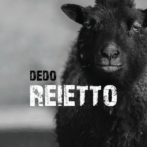 Reietto