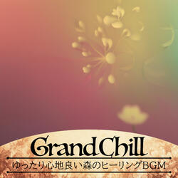 Pathways Veiled in Mist