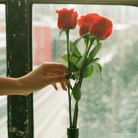 You Don't Want My Love