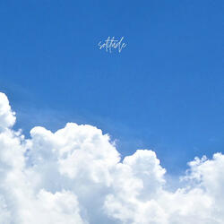 fly
