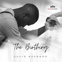 The Birthing
