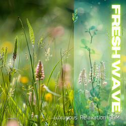 Dancing Leaves in Calm