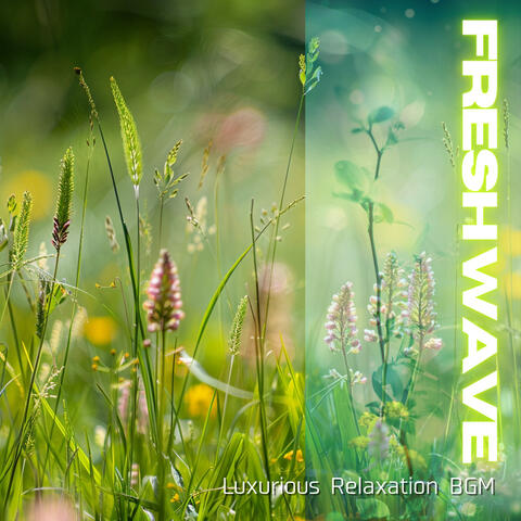 Luxurious Relaxation BGM