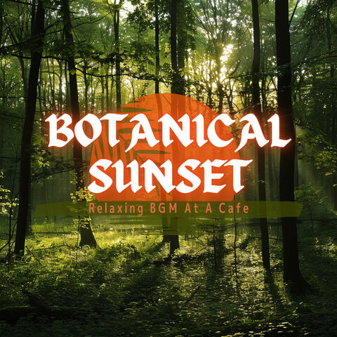 Relaxing BGM At A Cafe