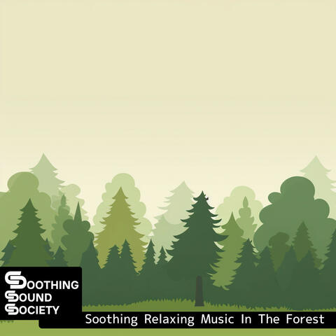 Soothing Relaxing Music In The Forest