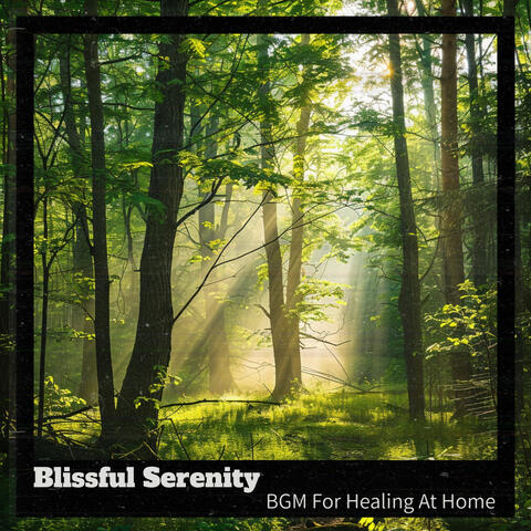 BGM For Healing At Home