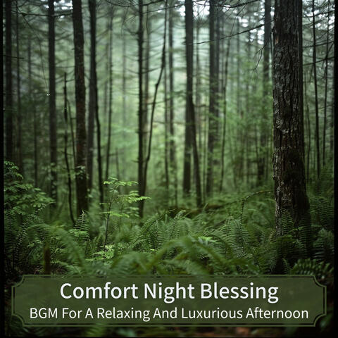 BGM For A Relaxing And Luxurious Afternoon