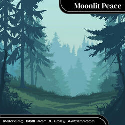 Moonlit Pathway to Rest