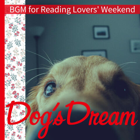BGM for Reading Lovers' Weekend