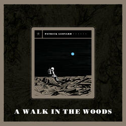 A Walk in the Woods