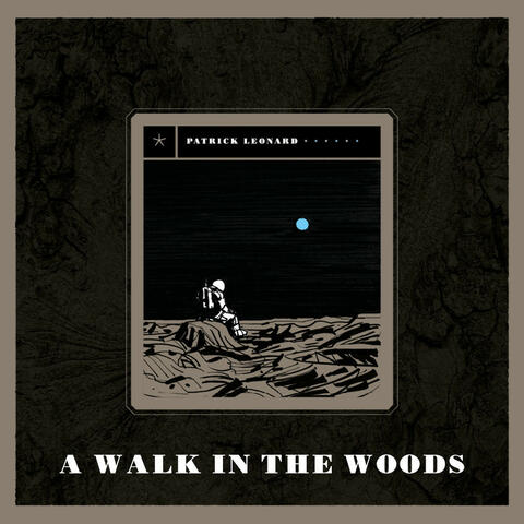 A Walk in the Woods