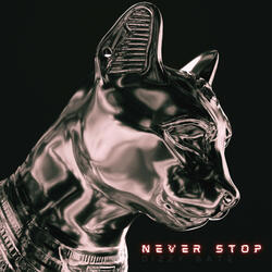 Never Stop
