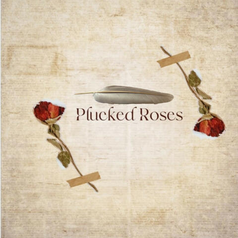THE ROSES CRY