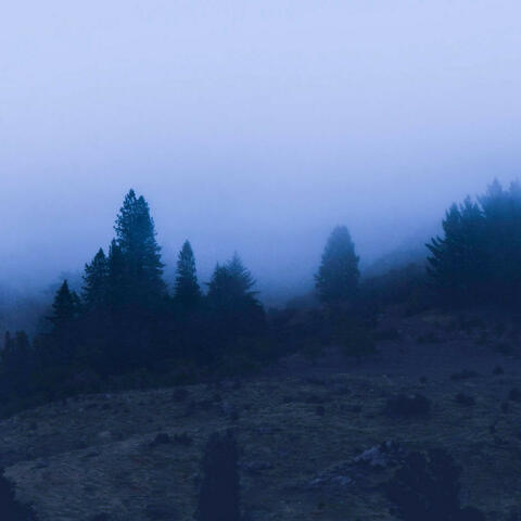 Lost Memories