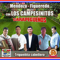 Trigueñita Cabellera