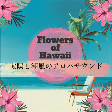 太陽と潮風のアロハサウンド