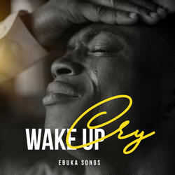 Awake Sleeping Soldier