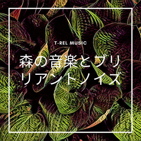 森の音楽とブリリアントノイズ