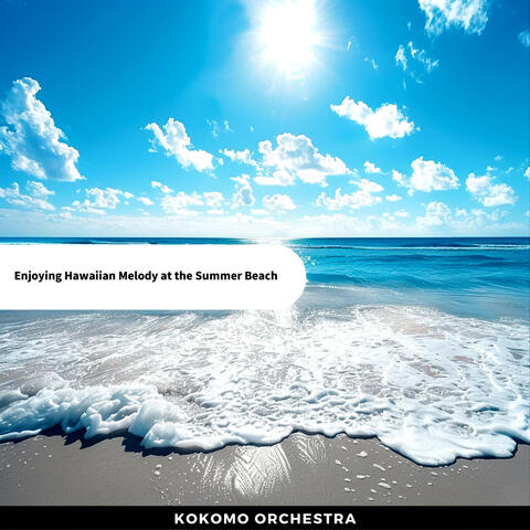Enjoying Hawaiian Melody at the Summer Beach