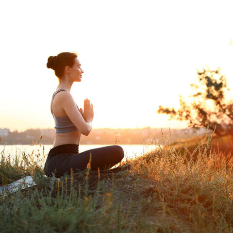 Nature Birds Zen: Riverside Meditation Journey