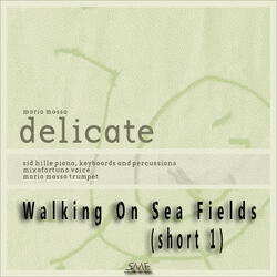 Walking on sea fields