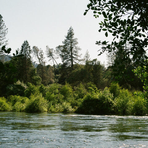 a field where i'm with you