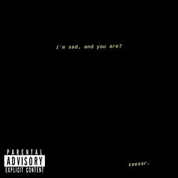 i'm sad, and you are?