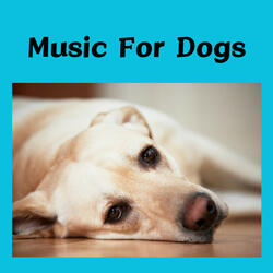Ruff Rhythms