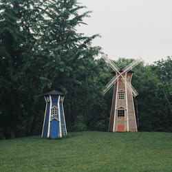 Jonathan Livingston Seagull