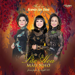 Bông Hồng Cài Áo