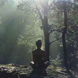 Quiet Reflective Tunes
