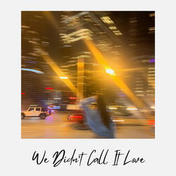 We Didn't Call It Love