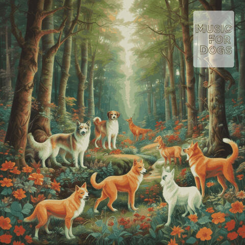 Music For Dogs