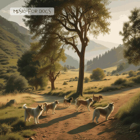 Music For Dogs