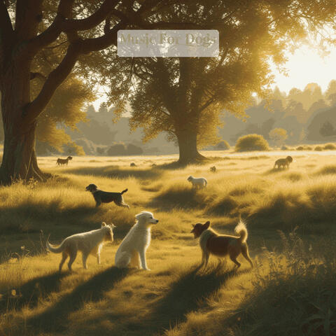 Music For Dogs
