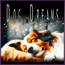 Serene Music for My Dog