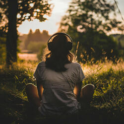 Harmonious Tones of Quiet Reflection
