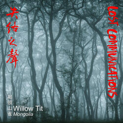 Willow Tit (Mongolia)