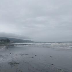 Swimming On Air I: The Albatross