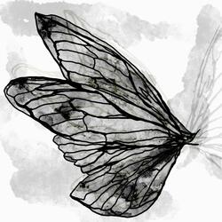 Gossamer