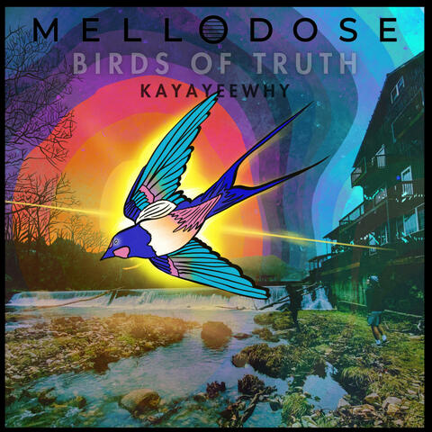 Birds of Truth